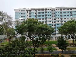 Blk 337 Tampines Street 32 (Tampines), HDB Executive #445521311